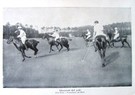 Polo In Italy - Image 1