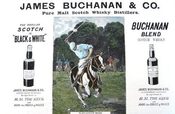 Buchanan's Whisky Polo Advert