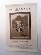 Buchanan's Polo advert - Image 1