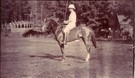 Officer on Polo Pony -SOLD - Image 1