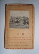 Polo - Image 1