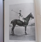Polo in India - Image 4