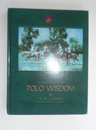 Polo Wisdom - Image 1