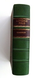 Polo SOLD - Image 1