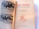 Polo Ponies: Their Training And Schooling  - Image 3