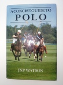 A Concise Guide To Polo