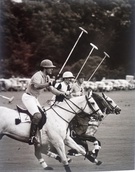 Patrick Churchward, Mark Vestey, Paul Withers at Cowdray Park - Image 1