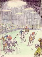 Arena Polo SOLD - Image 1