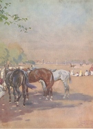 Indian Pony Lines - Image 1